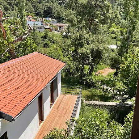 Mulberry House بيت للعطل